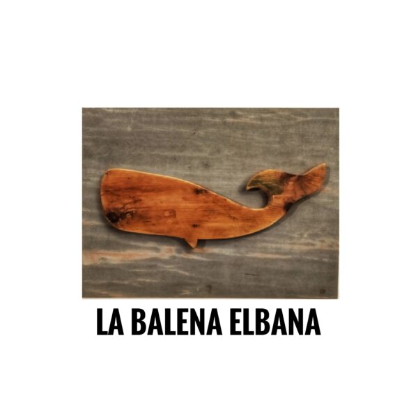 LA BALENA ELBANA