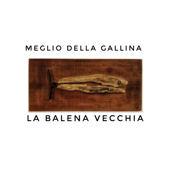 LA BALENA VECCHIA