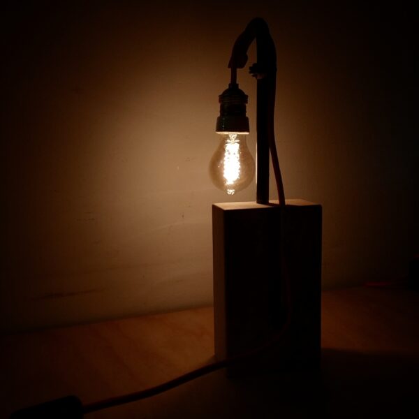LAMPADA PER SCASSINATORI - immagine 3
