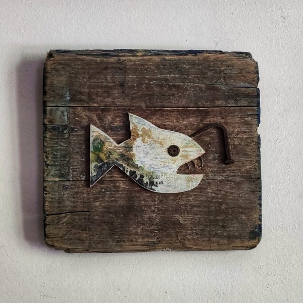 IL PESCE LANTERNA